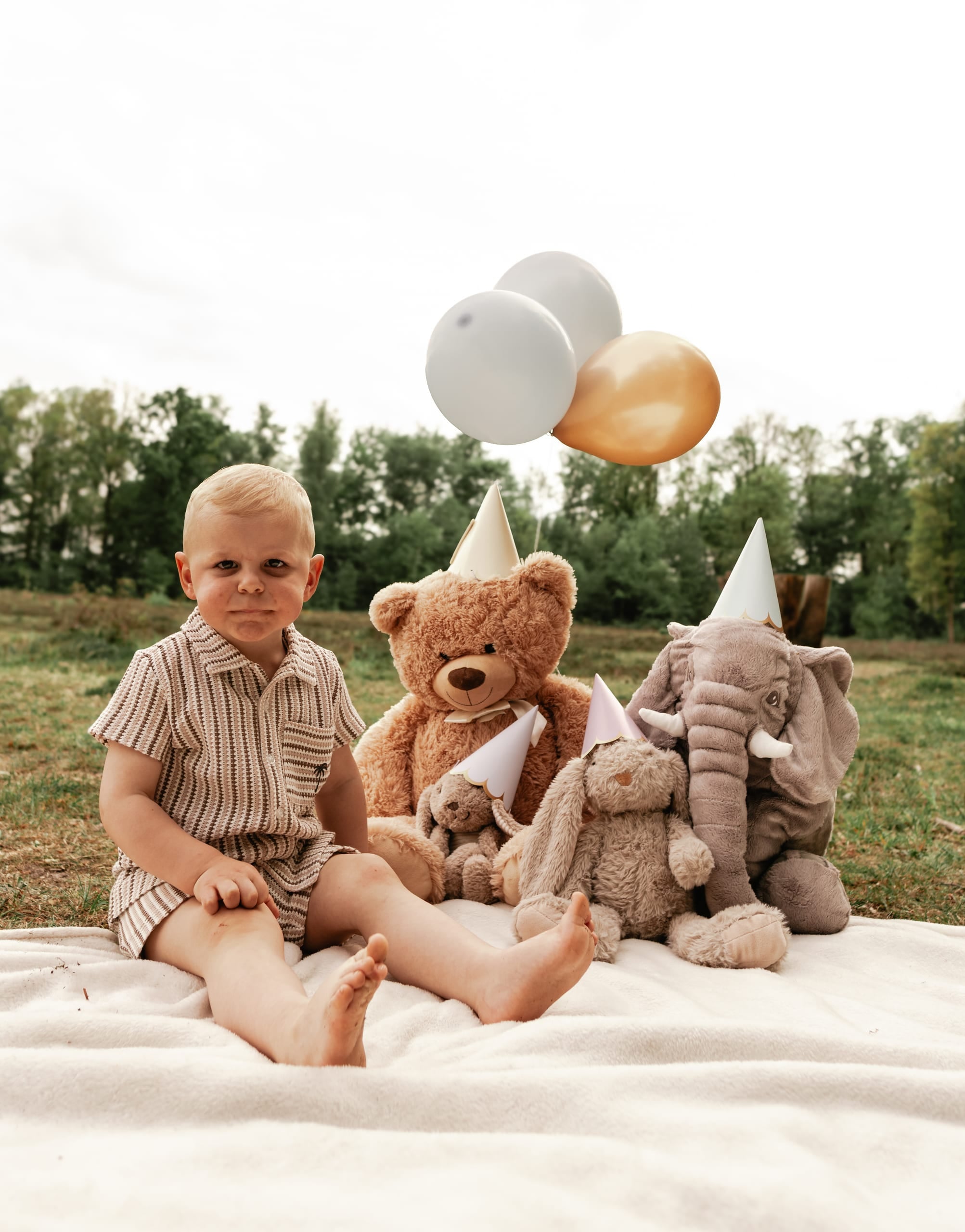 Jongetje met feesthoedje zit tussen knuffels en ballonnen op een picknickkleed