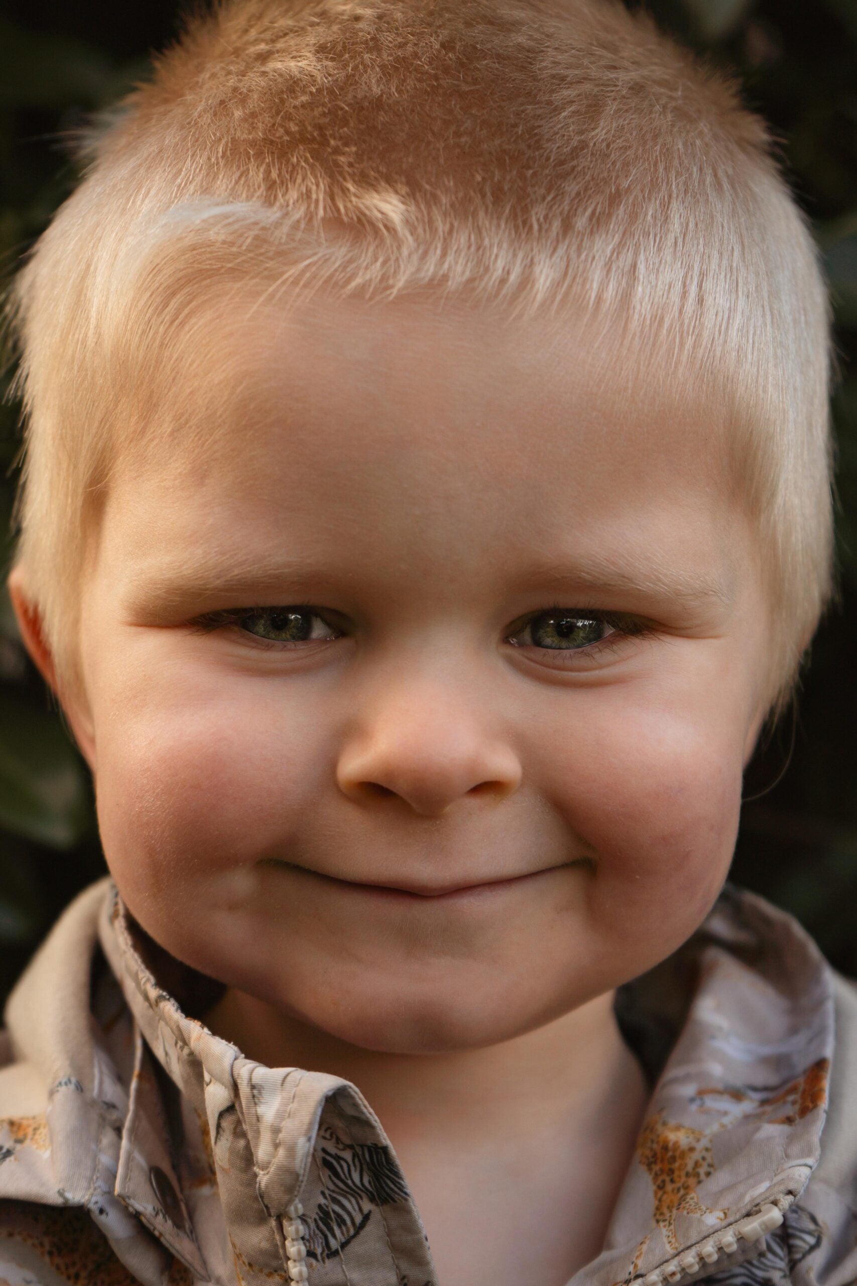 Portret van een jongetje met een kleine glimlach